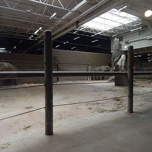 Asia Quest - Pachyderm Building - Elephant Indoor Exhibit