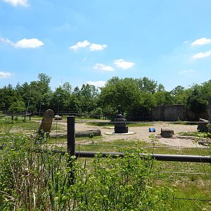 Asia Quest - Asian Elephant Exhibit