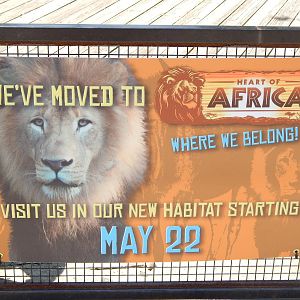 Asia Quest - The Zoo Laughing at Their Own Flaw