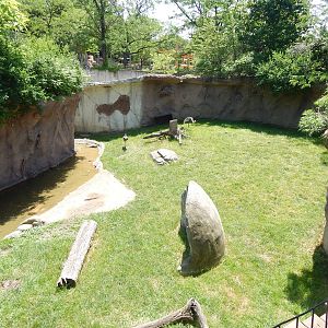 Asia Quest - Reeve's Muntjac + White-naped Crane Exhibit