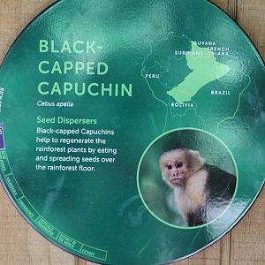 spot the mistake....