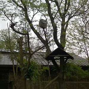 Australia and the Islands