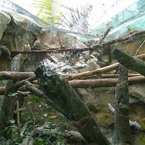 Australia and the Islands