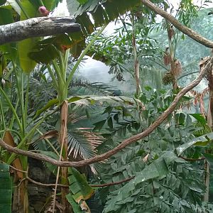 Australia and the Islands