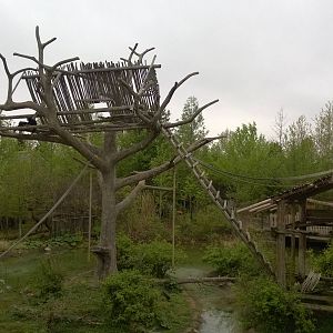 Australia and the Islands