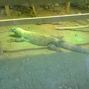 Australia and the Islands