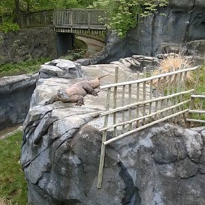 Australia and the Islands