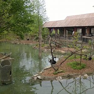 Australia and the Islands
