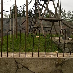 Australia and the Islands