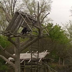 Australia and the Islands