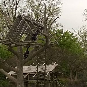 Australia and the Islands