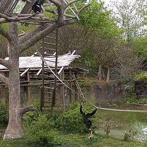 Australia and the Islands