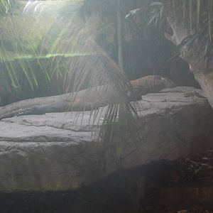 Chester zoo 28.05.2014