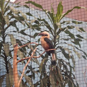 Chester zoo 28.05.2014