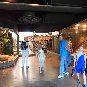 Asia Quest - Water Monitor + Reticulated Python Exhibits