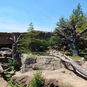 Asia Quest - Sun Bear Exhibit