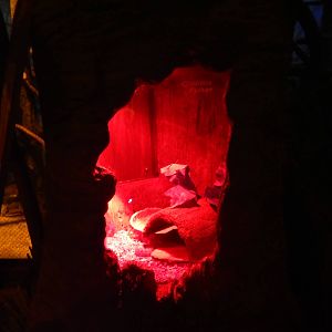 Australia and the Islands - Roadhouse - Children's Python Exhibit