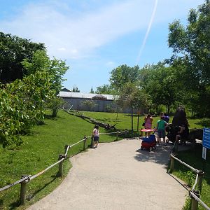 Australia and the Islands - Kangaroo Walk-About Exhibit