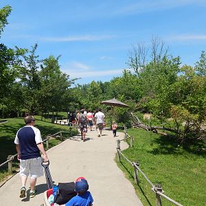 Australia and the Islands - Kangaroo Walk-About Exhibit