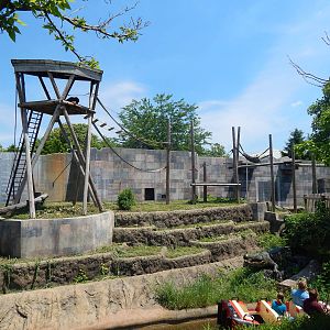 Australia and the Islands - Orangutan Exhibit