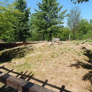 North America - Black-tailed Prairie Dog Exhibit