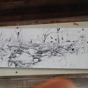 Congo Expedition: African Forest - Bonobo Exhibit Concept Sketch