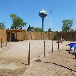 Heart of Africa - Dromedary Camel Exhibit