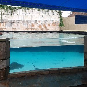 Outside ray enclosure