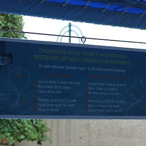 Ray / Manta information sign