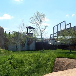 Heart of Africa - African Lion Exhibit - Right Side