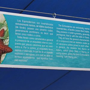 Touch-pool info sign