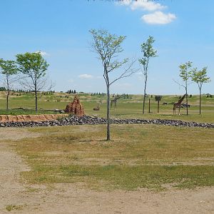 Heart of Africa - Giraffe Shamba + Savanna Exhibits