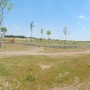 Heart of Africa - Giraffe Shamba Feeding Station