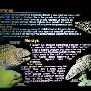 Moray information sign