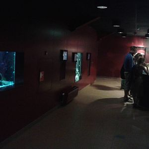 First room in the aquarium building