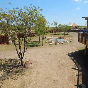 Heart of Africa - Watering Hole Exhibit