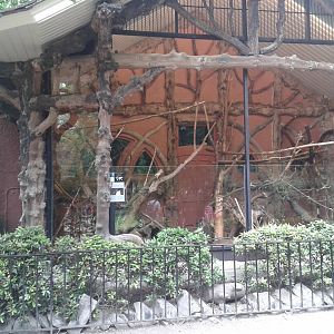 North american porcupine enclosure