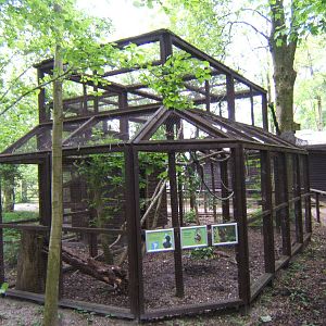 Mixed exhibit for Curassow and Marmosets