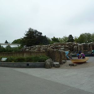 Humboldt Penguin Exhibit
