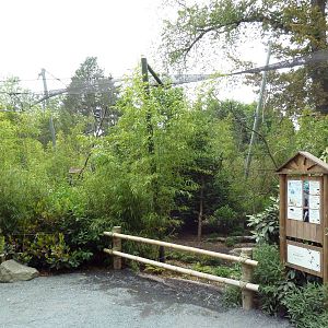 Tropical Asia - Aviary (3 Species)