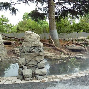 Asian Small-Clawed Otter Exhibit