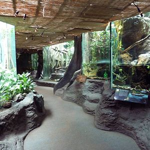 Tropical Rain Forest Building