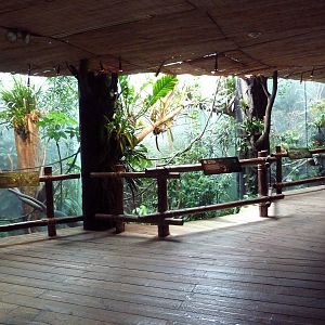 Tropical Rain Forest Building