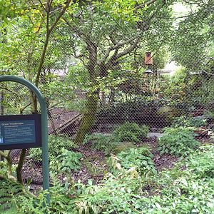 Conservation Aviary - Green Woodhoopoe Exhibit