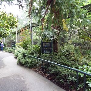 Conservation Aviaries