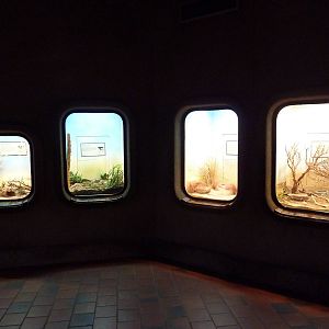 Reptile House (4 of 38 Exhibits)