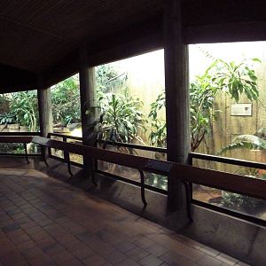 Reptile House - 2 Exhibits