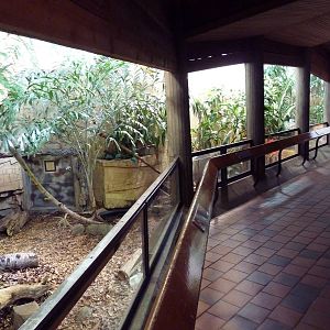 Reptile House - 2 Exhibits