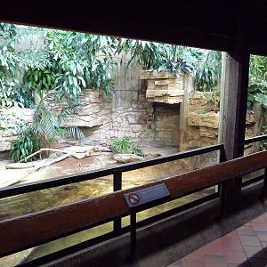 Reptile House - Yellow-Spotted Side-Necked Turtle Exhibit
