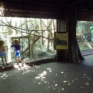 Orangutan Exhibit #1 - Indoor Quarters